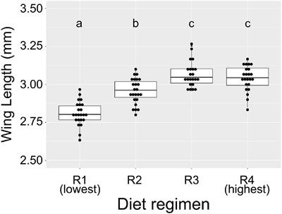 Larval Diet Abundance Influences Size and Composition of the Midgut Microbiota of Aedes aegypti Mosquitoes